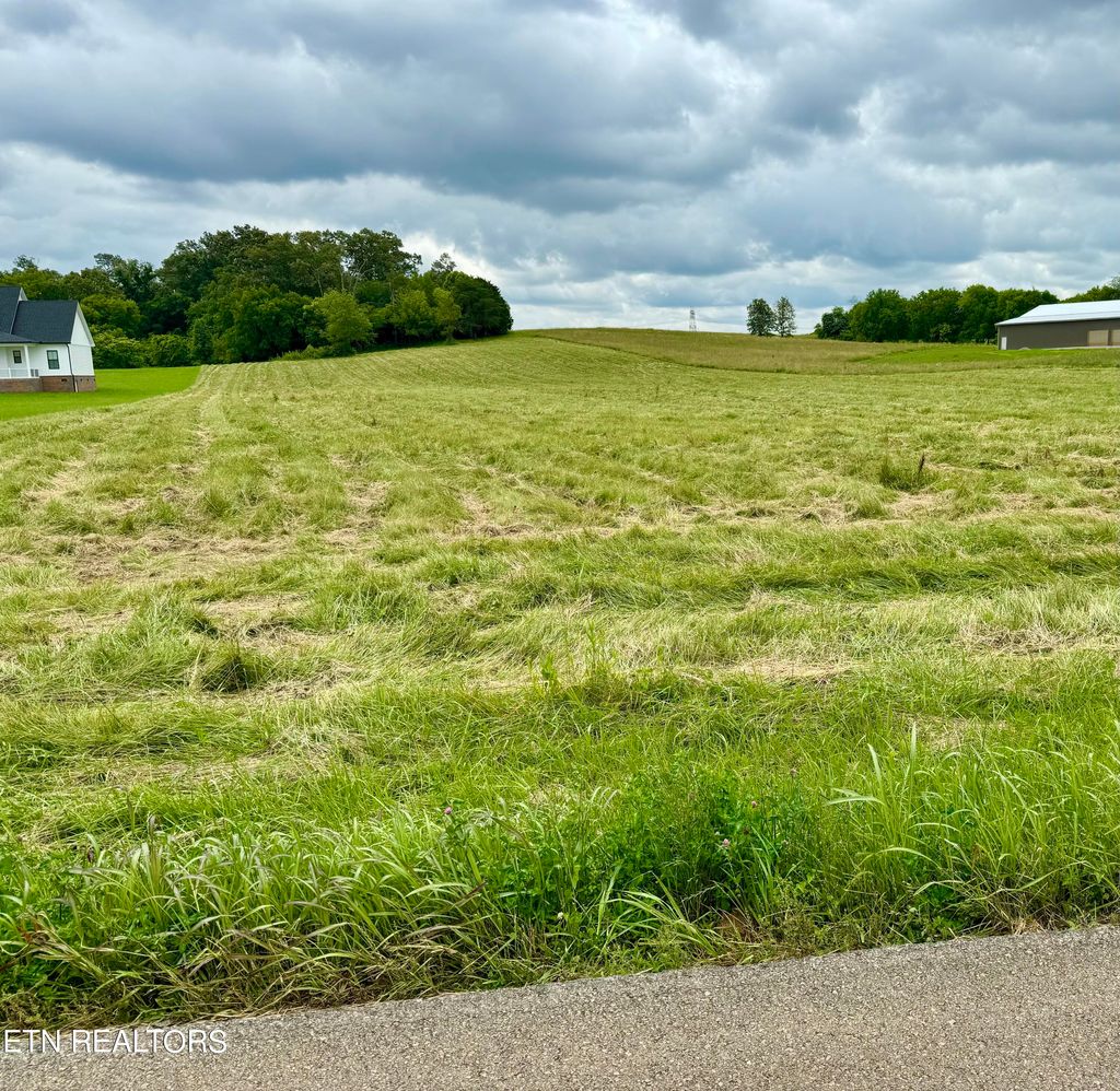 Photo of 971 Frogpond Rd, Friendsville, TN 37737 (MLS # 1265383)