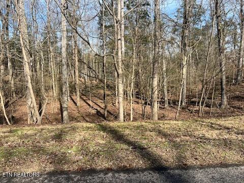 Photo of E Shore Drive, Rockwood, TN 37854 (MLS # 1330142)