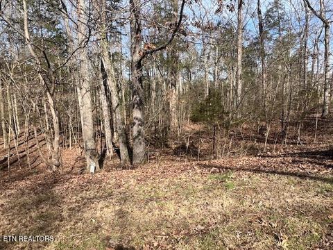 Tiny photo for E Shore Drive, Rockwood, TN 37854 (MLS # 1330142)