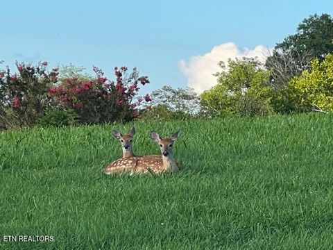 Tiny photo for E Shore Drive, Rockwood, TN 37854 (MLS # 1330142)