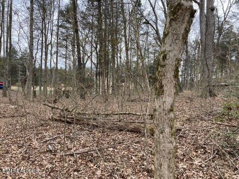 Tiny photo for E Shore Drive, Rockwood, TN 37854 (MLS # 1330142)