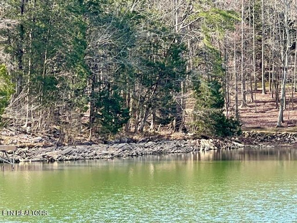 Photo of E Shore Drive, Rockwood, TN 37854 (MLS # 1330142)