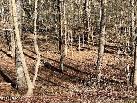 Tiny photo for E Shore Drive, Rockwood, TN 37854 (MLS # 1330142)