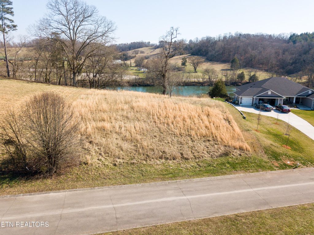 Photo of River Stone Drive Drive, Blaine, TN 37709 (MLS # 1254481)