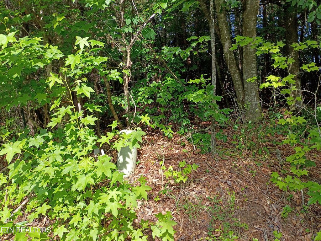 Photo of Tanger Court, Harriman, TN 37748 (MLS # 1342649)