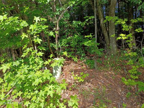 Tiny photo for Tanger Court, Harriman, TN 37748 (MLS # 1342649)