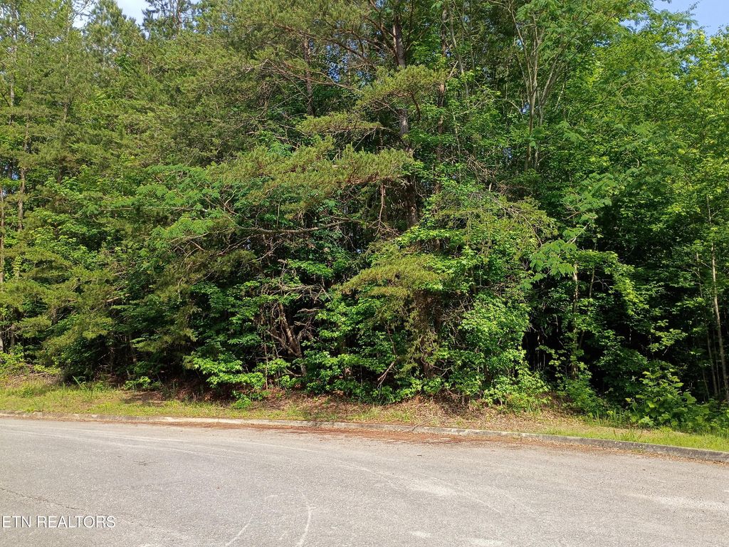Photo of Tanger Court, Harriman, TN 37748 (MLS # 1342649)