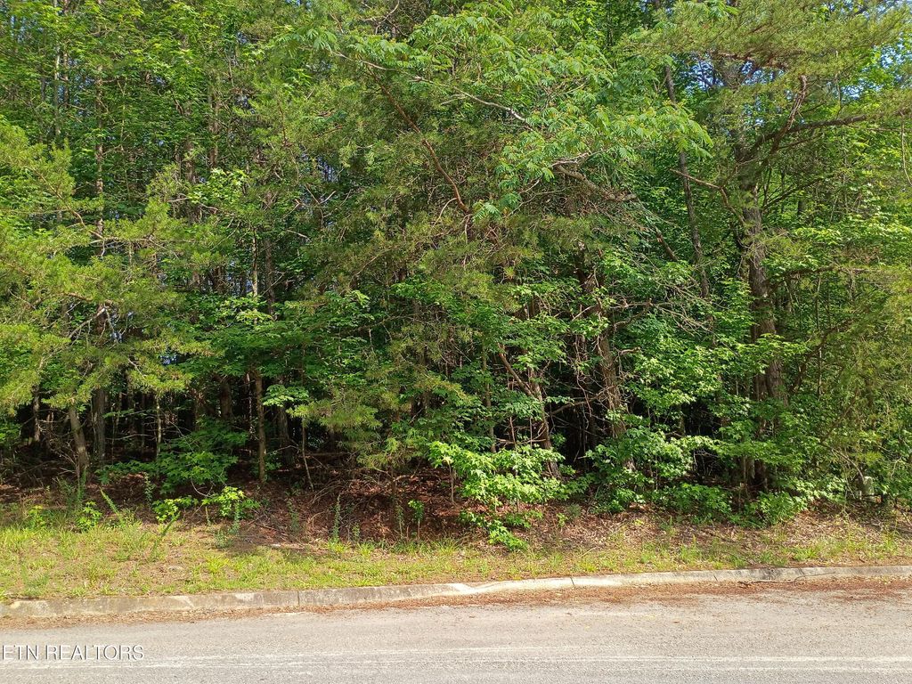 Photo of Tanger Court, Harriman, TN 37748 (MLS # 1342649)