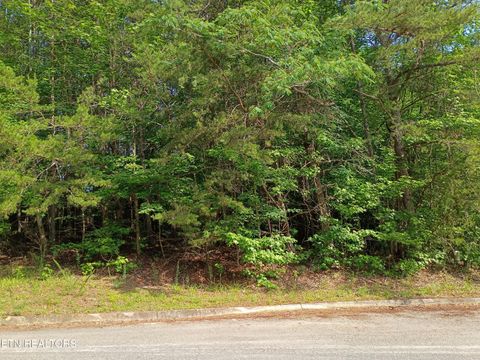 Photo of Tanger Court, Harriman, TN 37748 (MLS # 1342649)