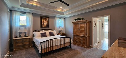 Tiny photo for 169 Dudi Tr, Vonore, TN 37885 (MLS # 1315994)