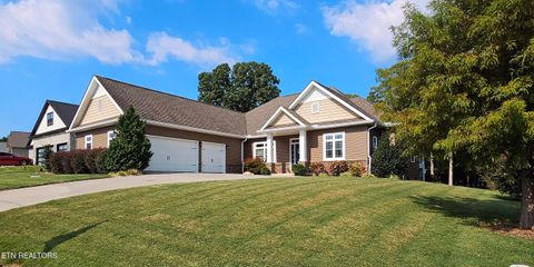 Tiny photo for 169 Dudi Tr, Vonore, TN 37885 (MLS # 1315994)
