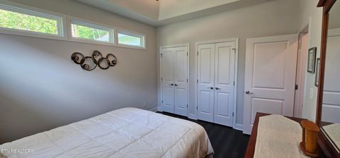 Tiny photo for 169 Dudi Tr, Vonore, TN 37885 (MLS # 1315994)