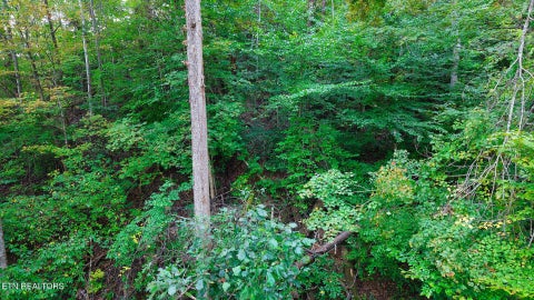 Tiny photo for Williams Drive, Maynardville, TN 37807 (MLS # 1359401)