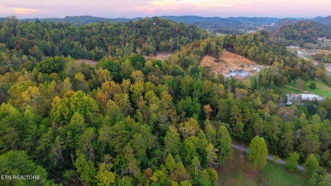 Tiny photo for Williams Drive, Maynardville, TN 37807 (MLS # 1359401)