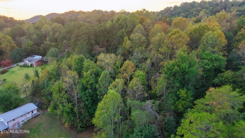 Tiny photo for Williams Drive, Maynardville, TN 37807 (MLS # 1359401)