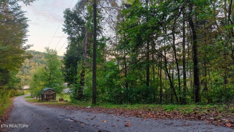 Tiny photo for Williams Drive, Maynardville, TN 37807 (MLS # 1359401)