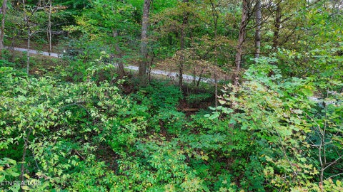 Tiny photo for Williams Drive, Maynardville, TN 37807 (MLS # 1359401)