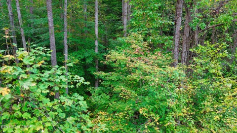 Tiny photo for Williams Drive, Maynardville, TN 37807 (MLS # 1359401)