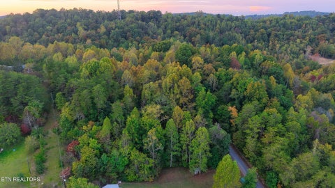 Tiny photo for Williams Drive, Maynardville, TN 37807 (MLS # 1359401)