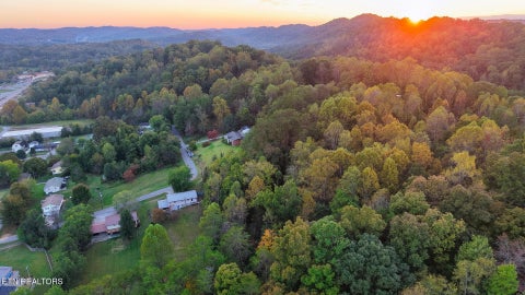 Tiny photo for Williams Drive, Maynardville, TN 37807 (MLS # 1359401)