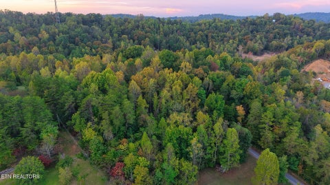 Tiny photo for Williams Drive, Maynardville, TN 37807 (MLS # 1359401)