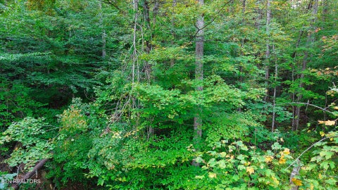Tiny photo for Williams Drive, Maynardville, TN 37807 (MLS # 1359401)
