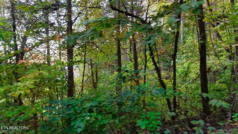 Tiny photo for Williams Drive, Maynardville, TN 37807 (MLS # 1359401)
