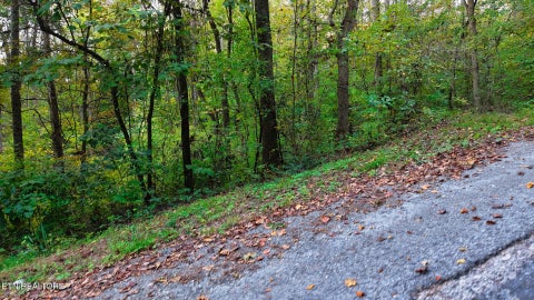 Tiny photo for Williams Drive, Maynardville, TN 37807 (MLS # 1359401)