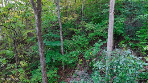 Tiny photo for Williams Drive, Maynardville, TN 37807 (MLS # 1359401)