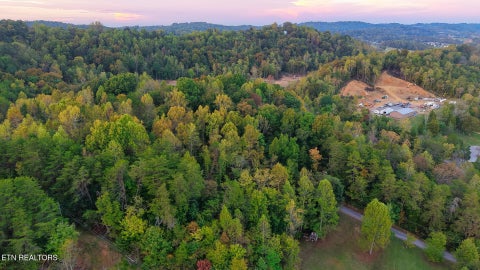Tiny photo for Williams Drive, Maynardville, TN 37807 (MLS # 1359401)