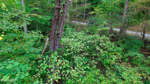 Tiny photo for Williams Drive, Maynardville, TN 37807 (MLS # 1359401)