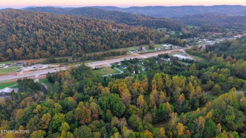 Tiny photo for Williams Drive, Maynardville, TN 37807 (MLS # 1359401)