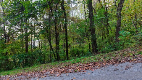 Tiny photo for Williams Drive, Maynardville, TN 37807 (MLS # 1359401)