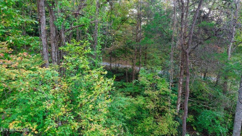 Tiny photo for Williams Drive, Maynardville, TN 37807 (MLS # 1359401)