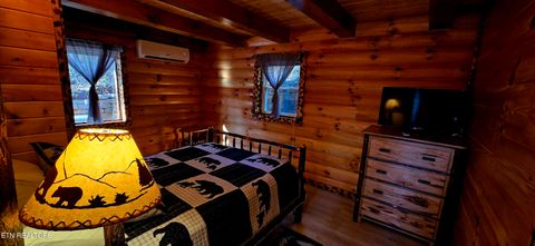 Tiny photo for 1120 Tucson Rd, Newport, TN 37821 (MLS # 1325441)