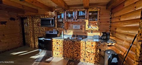 Tiny photo for 1120 Tucson Rd, Newport, TN 37821 (MLS # 1325441)