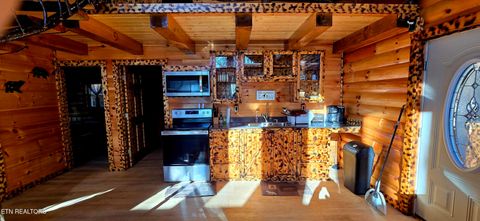 Tiny photo for 1120 Tucson Rd, Newport, TN 37821 (MLS # 1325441)