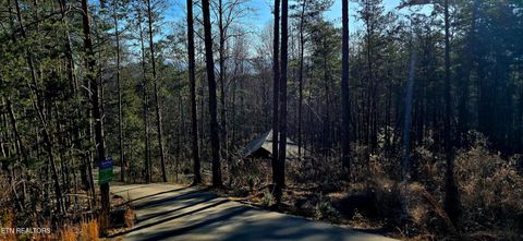 Tiny photo for 1120 Tucson Rd, Newport, TN 37821 (MLS # 1325441)