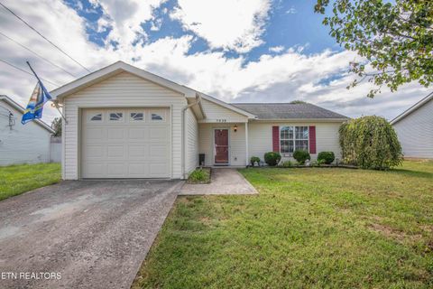 Photo of 7532 Gary White Rd, Corryton, TN 37721 (MLS # 1324791)