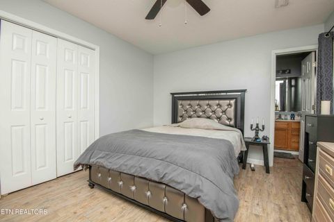 Tiny photo for 7532 Gary White Rd, Corryton, TN 37721 (MLS # 1324791)