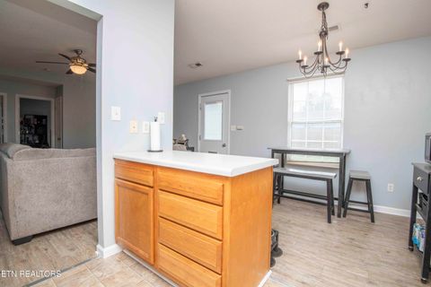 Tiny photo for 7532 Gary White Rd, Corryton, TN 37721 (MLS # 1324791)