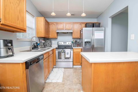 Tiny photo for 7532 Gary White Rd, Corryton, TN 37721 (MLS # 1324791)