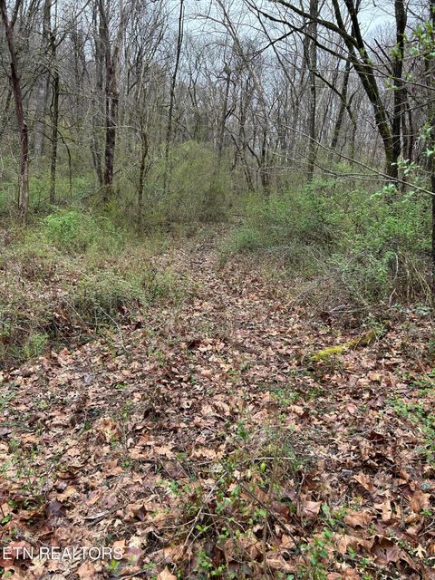 Tiny photo for 964 Saga Lane, Knoxville, TN 37931 (MLS # 1331381)