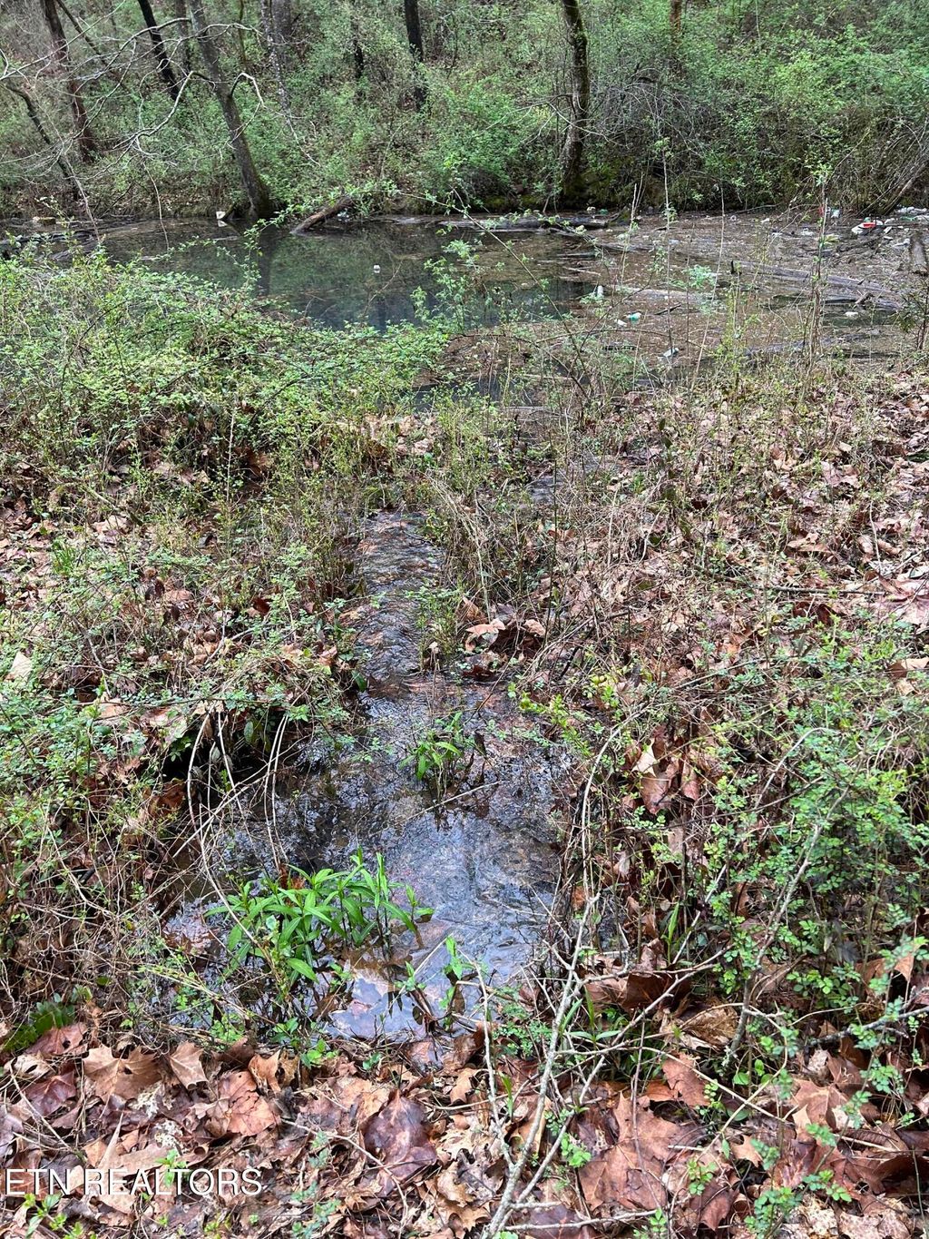 Photo of 964 Saga Lane, Knoxville, TN 37931 (MLS # 1331381)