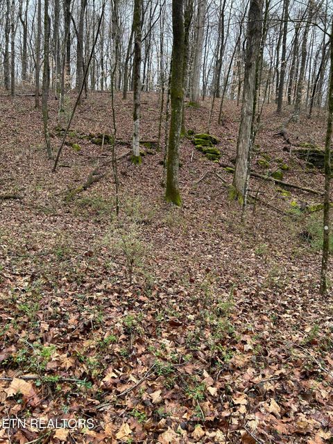 Tiny photo for 964 Saga Lane, Knoxville, TN 37931 (MLS # 1331381)