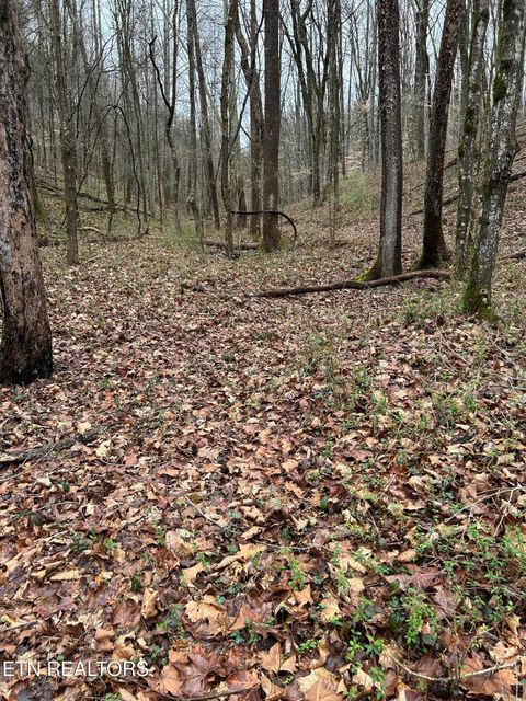 Tiny photo for 964 Saga Lane, Knoxville, TN 37931 (MLS # 1331381)