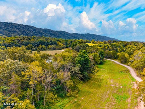 Tiny photo for 4885 Highway 131, Washburn, TN 37888 (MLS # 1355367)