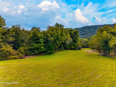 Tiny photo for 4885 Highway 131, Washburn, TN 37888 (MLS # 1355367)
