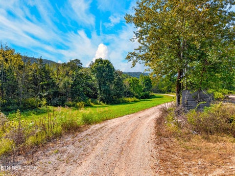 Tiny photo for 4885 Highway 131, Washburn, TN 37888 (MLS # 1355367)