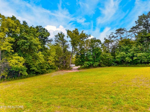 Tiny photo for 4885 Highway 131, Washburn, TN 37888 (MLS # 1355367)